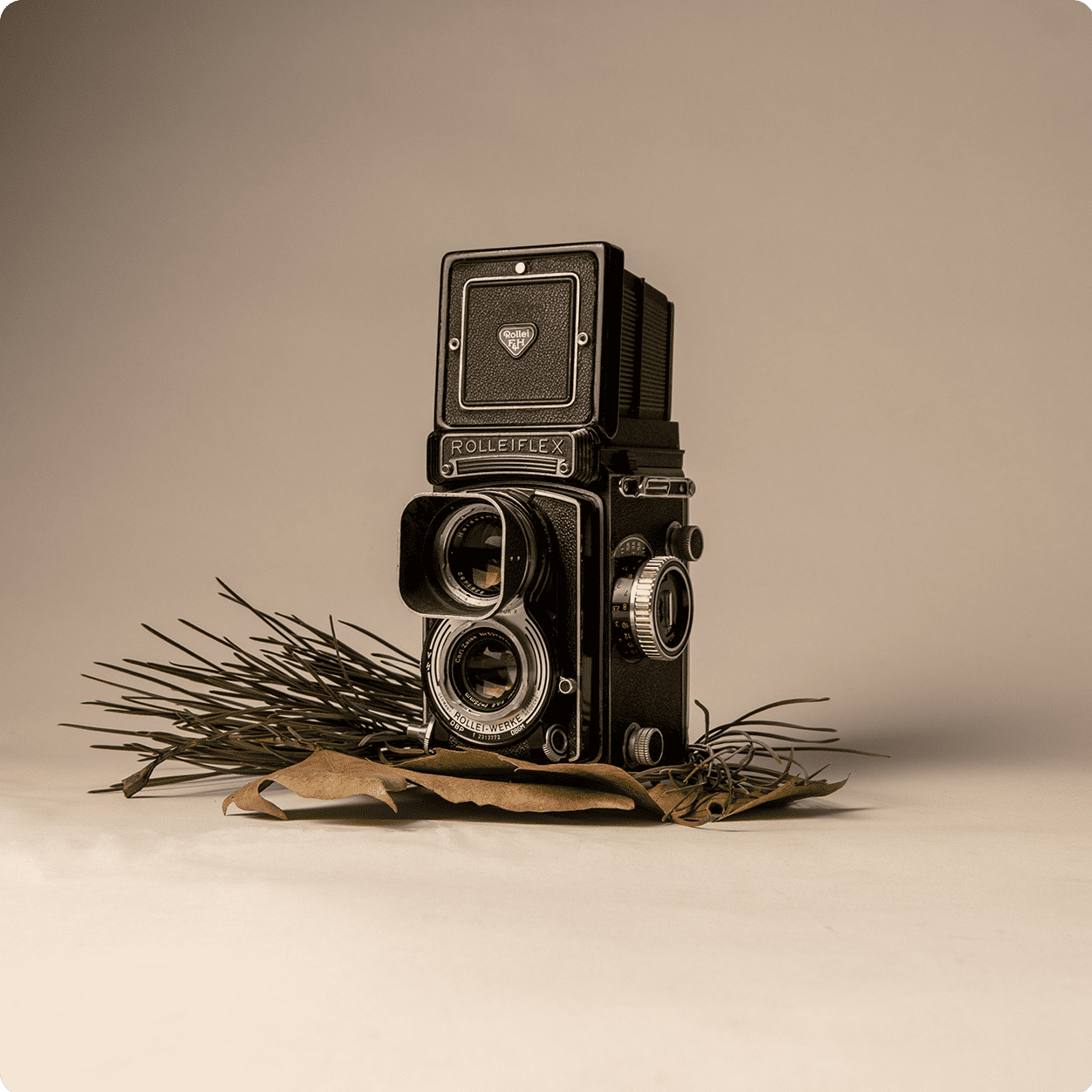 Photographie Studio - Rolleiflex